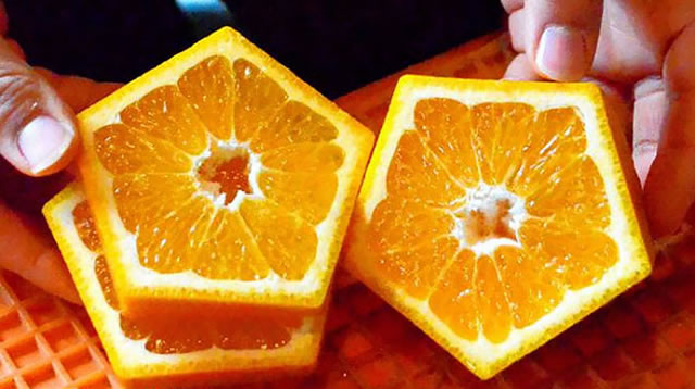 五边形橘子 图二