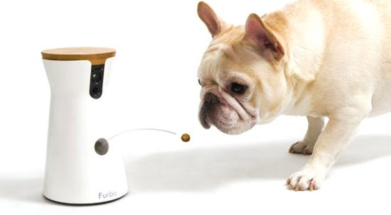 Furbo宠物智能喂食器 支持远程互动