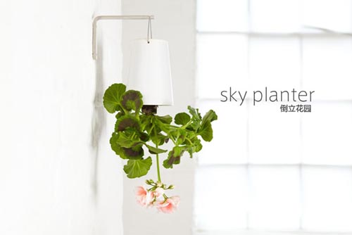 倒立的天空花园（sky planter）图五