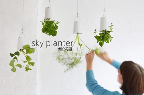 倒立的天空花园（sky planter）图八
