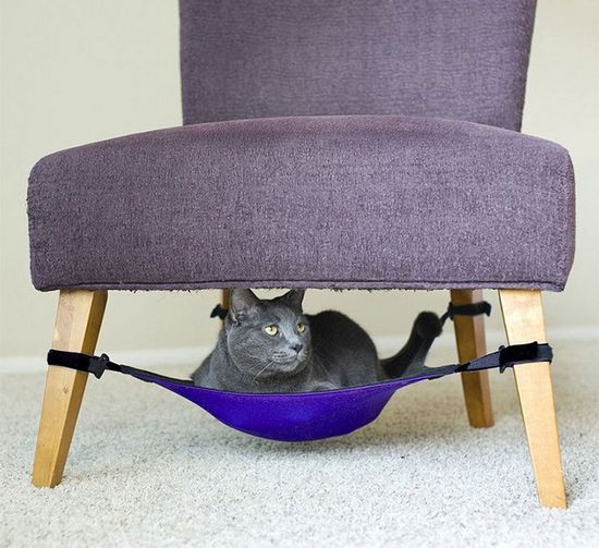 猫咪吊床