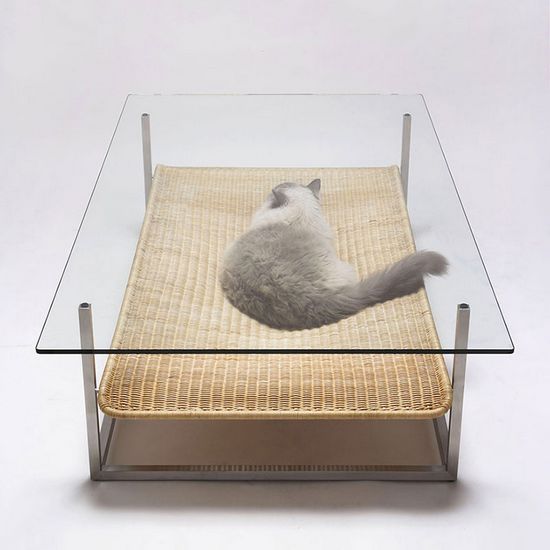 猫咪茶几