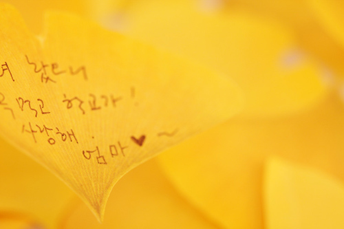银杏便笺纸/书签（leaf-it gingko）图四