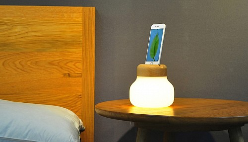 能为iPhone手机充电的创意台灯（Mushroom lamp） 图五