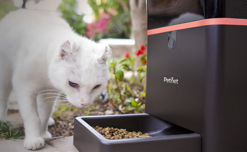 PETNET 智能宠物喂食器（Smart feeder）